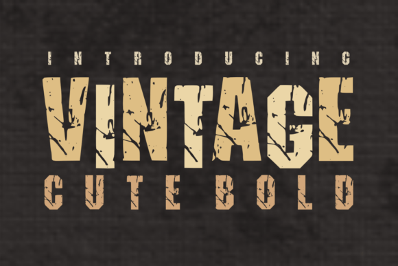 Vintage Cute Bold: The Bold Font with a Rustic Soul